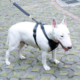Maxbell Maxbell Adjustable Pet Dog Car Safety Seat Belt Harness Vest Restraint Lead Leash M