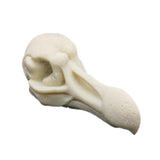 Maxbell Maxbell Creative Animal Head Skull  Aquarium Decoration Bird Skull