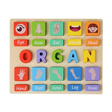 Puzzle Game Practicing Sensory Toy Practical Matching Blocks Montessori Toy Organ