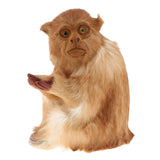 Maxbell 2pcs Lifelike Kneeling Monkey Statue Indoor Outdoor Ornament Model Figure