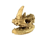 Maxbell Maxbell Reptile,Snake,Turtle,Vivarium Rock,Caves,Decor Aquarium Ornament Rhino Skull