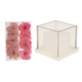 Maxbell Hollow Cube Plastic Candle Mold Tealight Candle Holder Mould & Dried Flowers