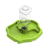 Maxbell Reptile Feeder Sturdy Gifts Reptile Food Dish for Lizard Reptiles Amphibians Grass Green