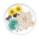 Maxbell Maxbell 3D Decoration Real Natural Dried Flower For UV Gel Acrylic Nail Art Tips 04