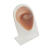 Maxbell Human Body Part Models Silicone Modeling for Home eye with stand