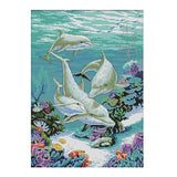 Maxbell 11CT Counted & Stamped Cross Stitch Kit for Beginners Embroidery Dolphins Patterns - Aladdin Shoppers