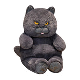 Maxbell British Shorthair Cat Plush 30cm Home Decor Plush Cat for Kids Birthday Blue