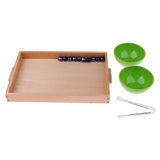 Maxbell Maxbell Montessori Transferring Activity Set for Kids Early Education Wooden Toys