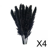 Maxbell 60x Dried Pampas Grass Phragmites Reed Flower Bunch Home Wedding Decor Gift