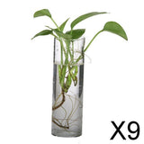 Maxbell 9xGlass Hydroponic Pot Flowers Vase Fairy Garden DIY Terrarium Container J