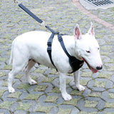 Maxbell Maxbell Adjustable Pet Dog Car Safety Seat Belt Harness Vest Restraint Lead Leash L