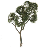 Maxbell Maple Trees Model Ash Trees Scenery Landscape Model Architecture Building