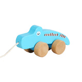 Pull Along Walking Toys Developmental Toy Cartoon Montessori Toys Boys Girls crocodile