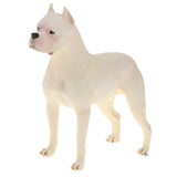 Maxbell Plastic Realistic Dogo Argentinos Action Figure Pet Dog Model Wildlife Jungle Animals Playset Eduactional Toys Kids Child Collectibles - Aladdin Shoppers