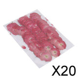 20x50pcs Beautiful Pressed Rose Flower Dried Flowers for Art Craft Scrapbooking
