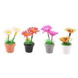 Maxbell 4 Pieces Mini Potted Plant Decoration Miniature Dollhouse Flowers 1 12 Scale