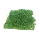 Maxbell Flower Grass Tuft Model Railway Artificial Grass for Miniature Scenery Decor Style A