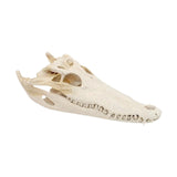 Maxbell Realistic Alligator Skull Crocodile Skull Head Sculpture for Living Room Bar