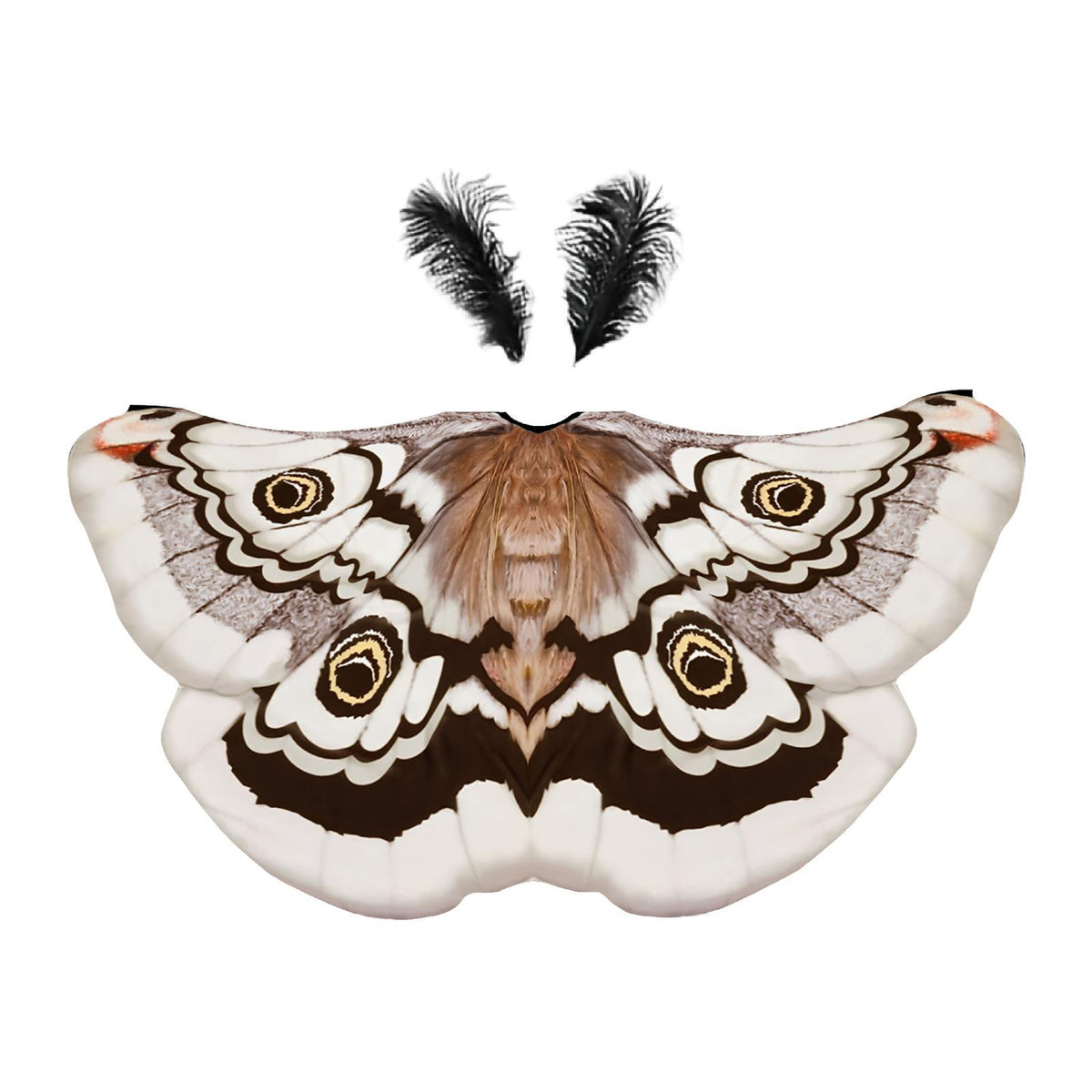 Maxbell Halloween Butterfly Cape Women with Headpiece for Dressing up Party Carnival Coffee