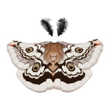 Maxbell Halloween Butterfly Cape Women with Headpiece for Dressing up Party Carnival Coffee