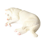 Lifelike Dog Sculpture Figurines Miniacture Toy for Boys Girls Children Kids White