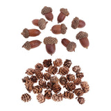 Maxbell 40 Pieces Natural Pine Cones Acorns Dried Table Ornament Home Decoration DIY