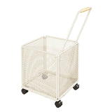 Maxbell Shopping Cart Heavy Duty Portable Utility Cart for Grocery Household Luggage White