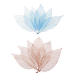 Maxbell 100Pcs Natural Magnolia Skeleton Leaf  Card Scrapbook Leaves Blue and Brown