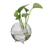 Maxbell 7xGlass Hydroponic Pot Flowers Vase Fairy Garden DIY Terrarium