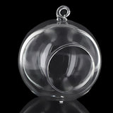 Maxbell 30x Dia. 4 Inch Clear Glass Hanging Vase Bottle for Plant Flower Decorations