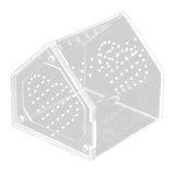 Maxbell Jumping Spiders Enclosure Acrylic Tarantula Enclosure for Gecko Snail 12cmx12cmx12cm