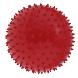 2 Pieces 9 Inch Kids Knobby Bouncy Ball Yoga Massage Spiky Sensory Ball 03