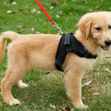 Maxbell Maxbell Breathable Pet Dog Saddle Mesh Vest Harness Padded Chest Strap  Black_M