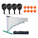 Pickleball Set with Net Regulation Size Net for Pickleball Training Driveway