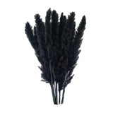Maxbell 60x Dried Pampas Grass Phragmites Reed Flower Bunch Home Wedding Decor Gift