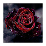 Maxbell 5D DIY Diamond Painting Embroidery Rhinestone Pictures Blooming Rose 30x30cm - Aladdin Shoppers