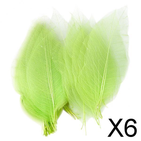 Maxbell 6x50Pcs Natural Catbrier Skeleton Leaf Leaves Card Scrapbook - Green