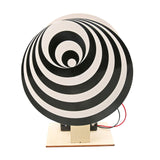 Maxbell Scientific Experiment Model Teaching Material for Kids 11 12 Year Old 8 9 10