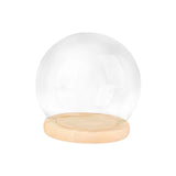 Maxbell Maxbell Display Dome with Base Transparent Showcase Glass Cover Container Glass Dome 15cm Wood Base