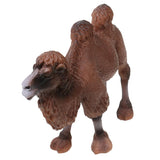 Maxbell Maxbell Realistic Camel Wild Zoo Animal Model Figurine Action Figure Kids Toy Gift