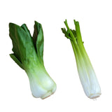 Maxbell 2x Artificial Shanghai Cabbage Imitation Food Store Cabinet Display Decor