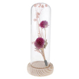 Maxbell Romantic Dried Flower Plant Ornament Micro Landscape Glass Cover Purple