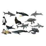 Maxbell Maxbell 12 Pieces Realistic Sea Life Animal Model Figurine Kids Educational Toys