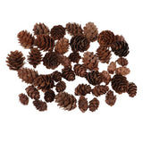 Maxbell 50 Pieces Mixed Size Mini Natural Rustic Dried Pine Cones In Bulk For Christmas Party Ornament Florists Gift Wrapping Decoration - Aladdin Shoppers