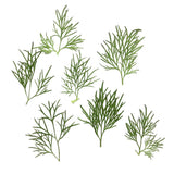 Maxbell 20x Pressed Dried Flower Dry Leaves for DIY Crafts Bookmark Cards Making