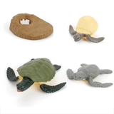 Maxbell Maxbell Kids Toy Simulation Animal Figures Set Growth Process Playset Turtle