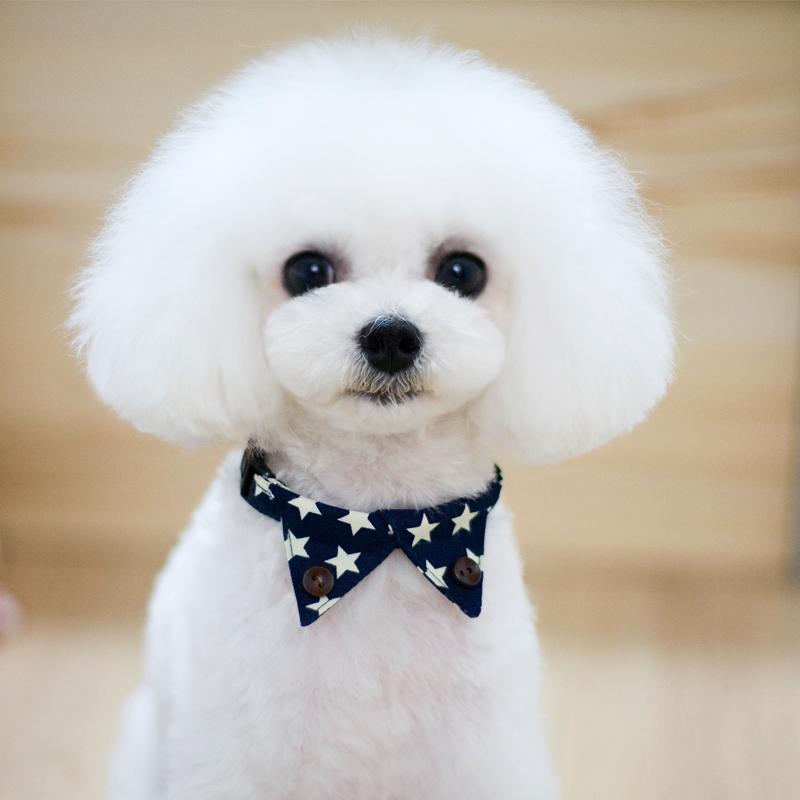 Maxbell Maxbell Spots Decorating Pet Dog Necktie Collar Leash with Nail Catcher Blue M