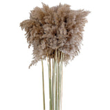 16x10x Natural Dried Pampas Grass Reed Flower Bunch Bouquet Home Decor 50-60cm