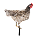 Maxbell Chicken Garden Statue Stake Hen Lawn Ornament Gift Outside Rooster Yard Arts Style B