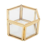 Maxbell Maxbell Glass Jewelry Organizer Display Case with Lid Plants Flower Holder Terrarium